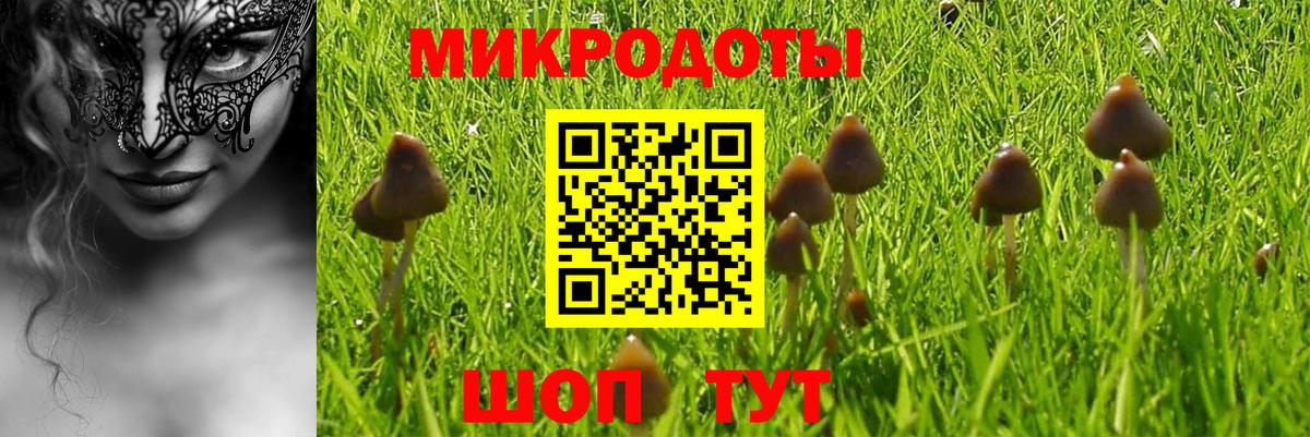 Псилоцибиновые грибы Psilocybine cubensis Рославль