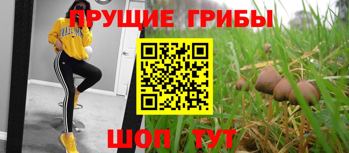 Псилоцибиновые грибы ЛСД  Вход с VPN  Рославль 